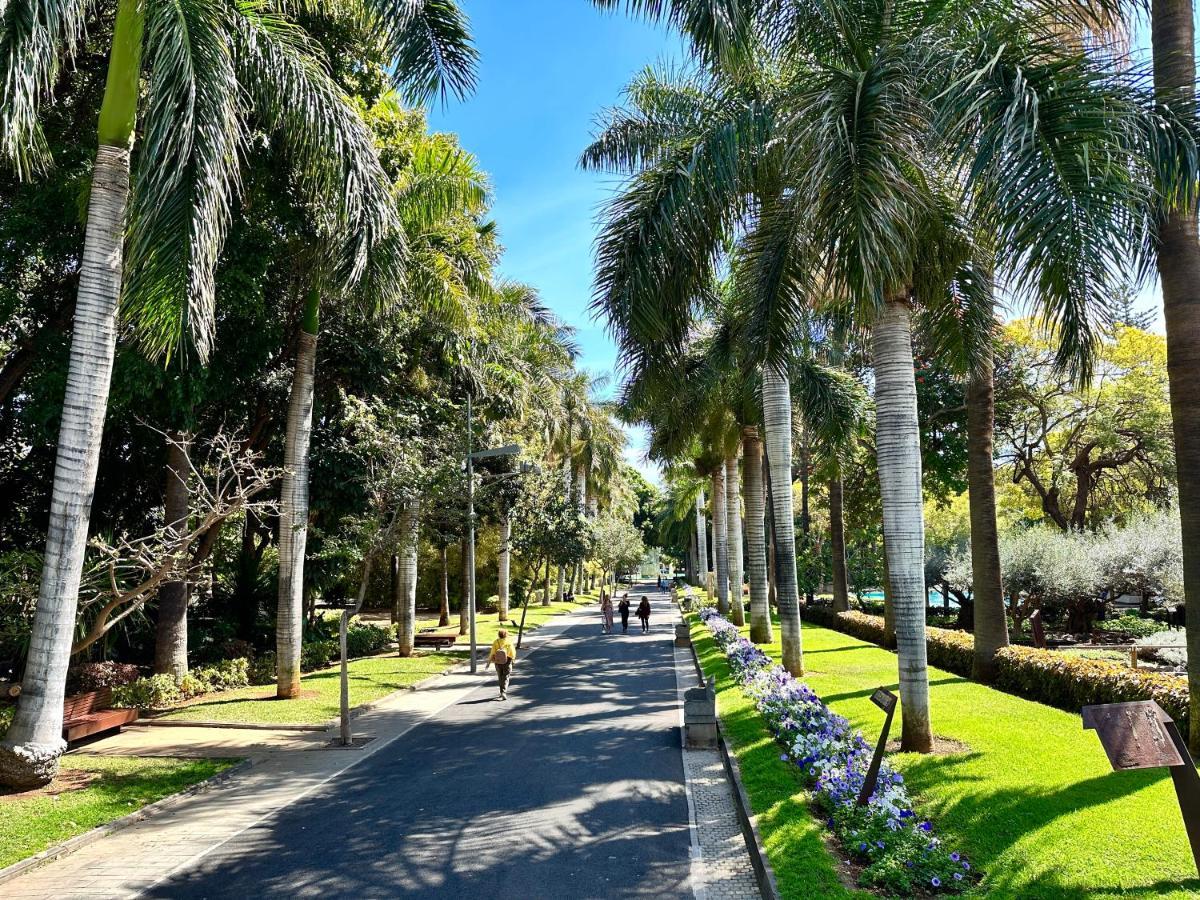 شقة Centrico Y Moderno Junto Al Parque سانتا كروز دي تينيريف المظهر الخارجي الصورة
